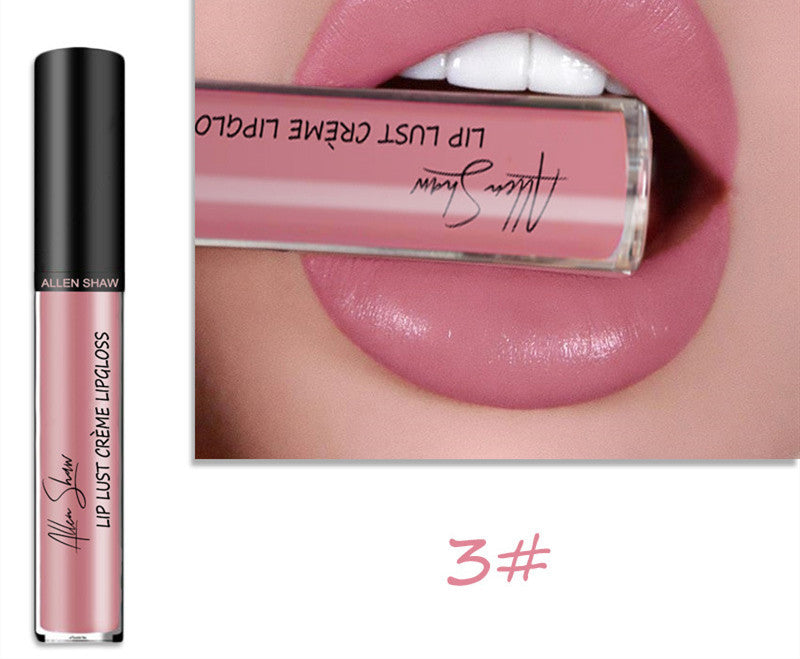 Silky Cream Lip Gloss: Cross-Border Exclusive