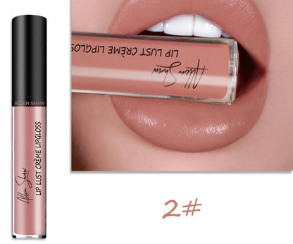 Silky Cream Lip Gloss: Cross-Border Exclusive