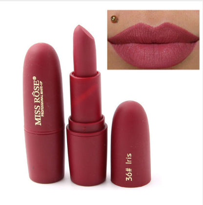 EndureMatte Moisture Lipstick