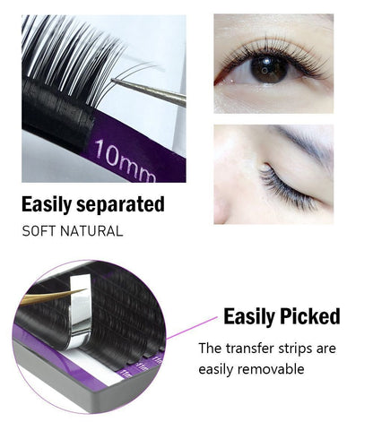 Bloom Soft Grafted Lashes